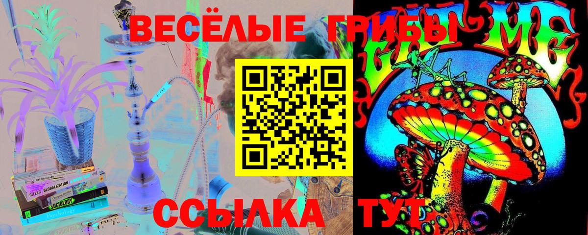 Галлюциногенные грибы Краснодар